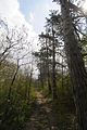 drei_gleichen_05_2017_orig_219