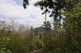drei_gleichen_05_2017_orig_220