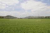 drei_gleichen_05_2017_orig_226