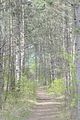 drei_gleichen_05_2017_orig_243