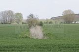 drei_gleichen_05_2017_orig_251
