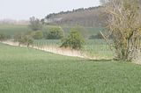 drei_gleichen_05_2017_orig_252