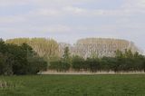 drei_gleichen_05_2017_orig_255
