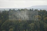 festung-koenigstein-021