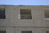 abriss-plattenbau-gera-044