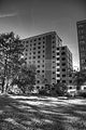 abriss-plattenbau-gera-053