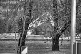 abriss-plattenbau-gera-491