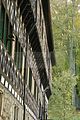 klosterruine-paulinzella-49