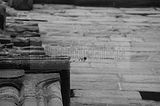 klosterruine-paulinzella-46