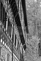 klosterruine-paulinzella-49