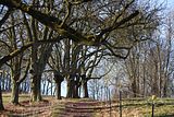 wartburg_eisenach_25_03_2017_1