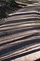 wartburg_eisenach_25_03_2017_12