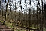 wartburg_eisenach_25_03_2017_162