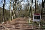 wartburg_eisenach_25_03_2017_163