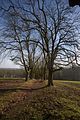 wartburg_eisenach_25_03_2017_7