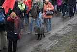 ll-demo-berlin-09012011-33