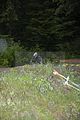 gdc-thale-26-09-10-007