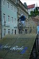 meissen-city-downhill_04-09-2010_198