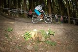 ixs_gdc_ilmenau_09-07-2011-seeding_run_159