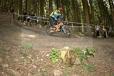 ixs_gdc_ilmenau_09-07-2011-seeding_run_160