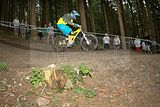 ixs_gdc_ilmenau_09-07-2011-seeding_run_192