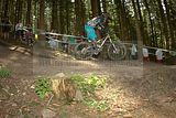 ixs_gdc_ilmenau_09-07-2011-seeding_run_215