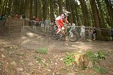 ixs_gdc_ilmenau_09-07-2011-seeding_run_235