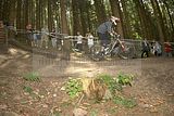 ixs_gdc_ilmenau_09-07-2011-seeding_run_237