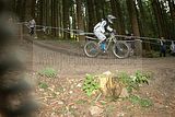 ixs_gdc_ilmenau_09-07-2011-seeding_run_248