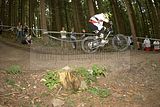 ixs_gdc_ilmenau_09-07-2011-seeding_run_263
