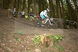 ixs_gdc_ilmenau_09-07-2011-seeding_run_302