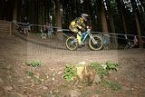 ixs_gdc_ilmenau_09-07-2011-seeding_run_367