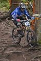 931_DSC0275