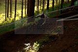 ixs_gdc_ilmenau_10-07-2011-training_391