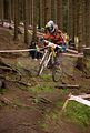 downhill_am_inselsberg_13-08-2011_zeitlauf_001