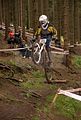 downhill_am_inselsberg_13-08-2011_zeitlauf_002