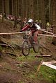 downhill_am_inselsberg_13-08-2011_zeitlauf_008