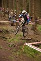 downhill_am_inselsberg_13-08-2011_zeitlauf_015