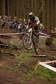 downhill_am_inselsberg_13-08-2011_zeitlauf_022