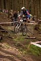 downhill_am_inselsberg_13-08-2011_zeitlauf_029