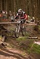 downhill_am_inselsberg_13-08-2011_zeitlauf_038