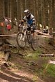 downhill_am_inselsberg_13-08-2011_zeitlauf_039