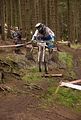 downhill_am_inselsberg_13-08-2011_zeitlauf_055