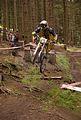 downhill_am_inselsberg_13-08-2011_zeitlauf_060