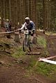 downhill_am_inselsberg_13-08-2011_zeitlauf_061
