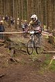 downhill_am_inselsberg_13-08-2011_zeitlauf_067