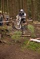 downhill_am_inselsberg_13-08-2011_zeitlauf_077