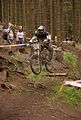 downhill_am_inselsberg_13-08-2011_zeitlauf_080