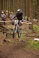 downhill_am_inselsberg_13-08-2011_zeitlauf_084