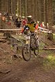 downhill_am_inselsberg_13-08-2011_zeitlauf_089